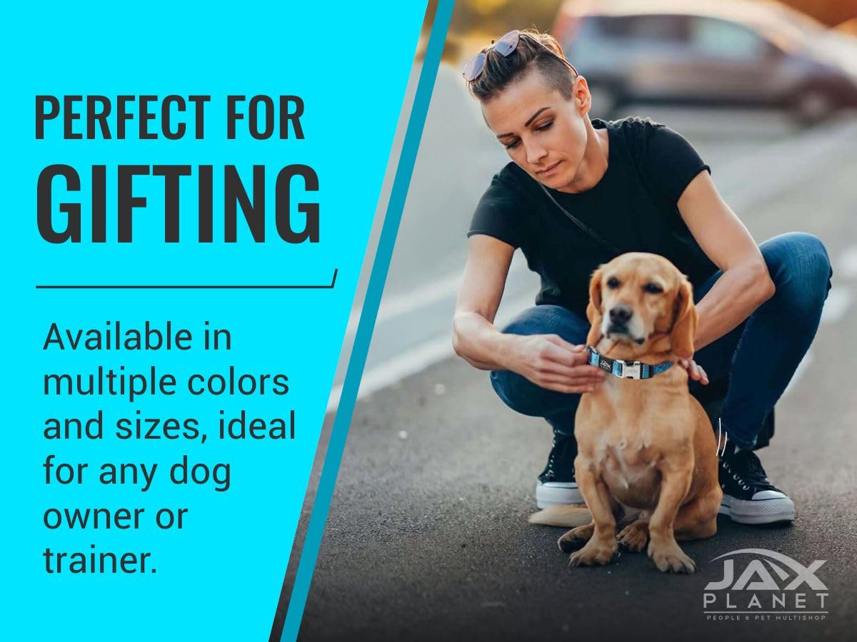 JAX PLANET Blue Martingale collar dog in training with secure fit