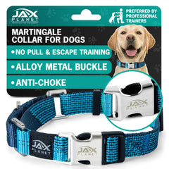 JAX PLANET Blue Martingale Collar front view showing secure no-pull design for calm daily walks.