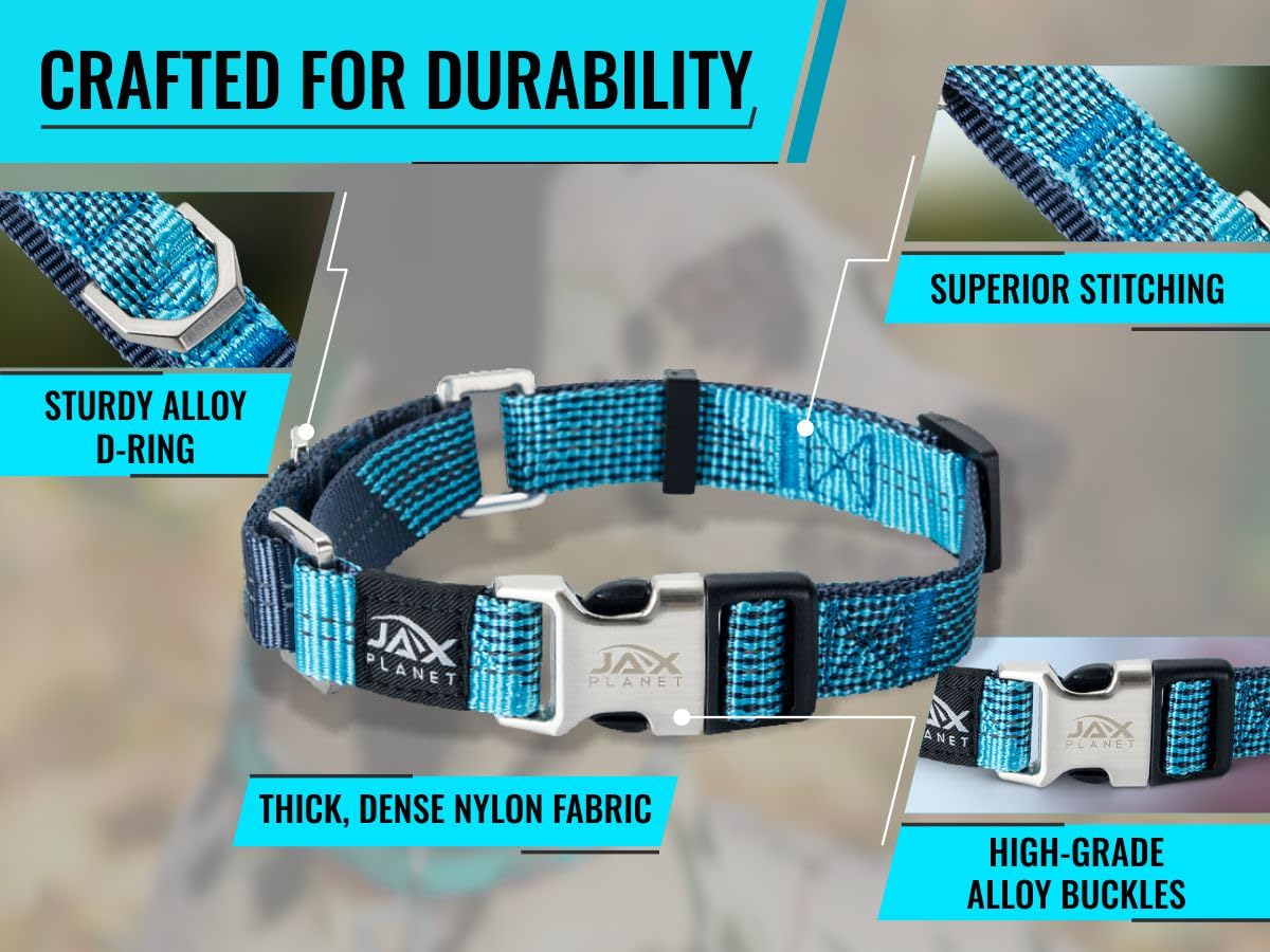 JAX PLANET Blue Martingale collar one-time adjustment setup shown