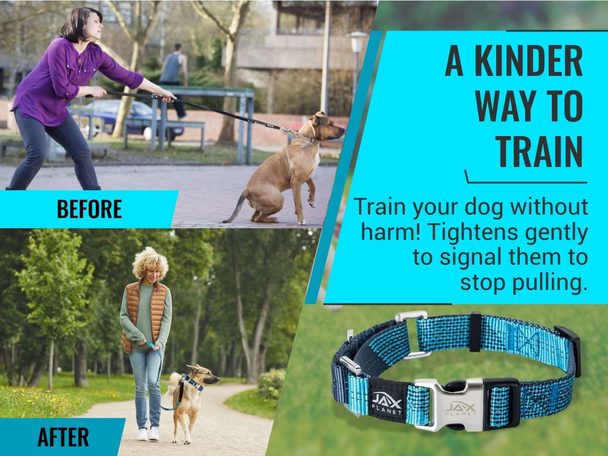 JAX PLANET Heavy-duty materials collar close-up highlighting durability.