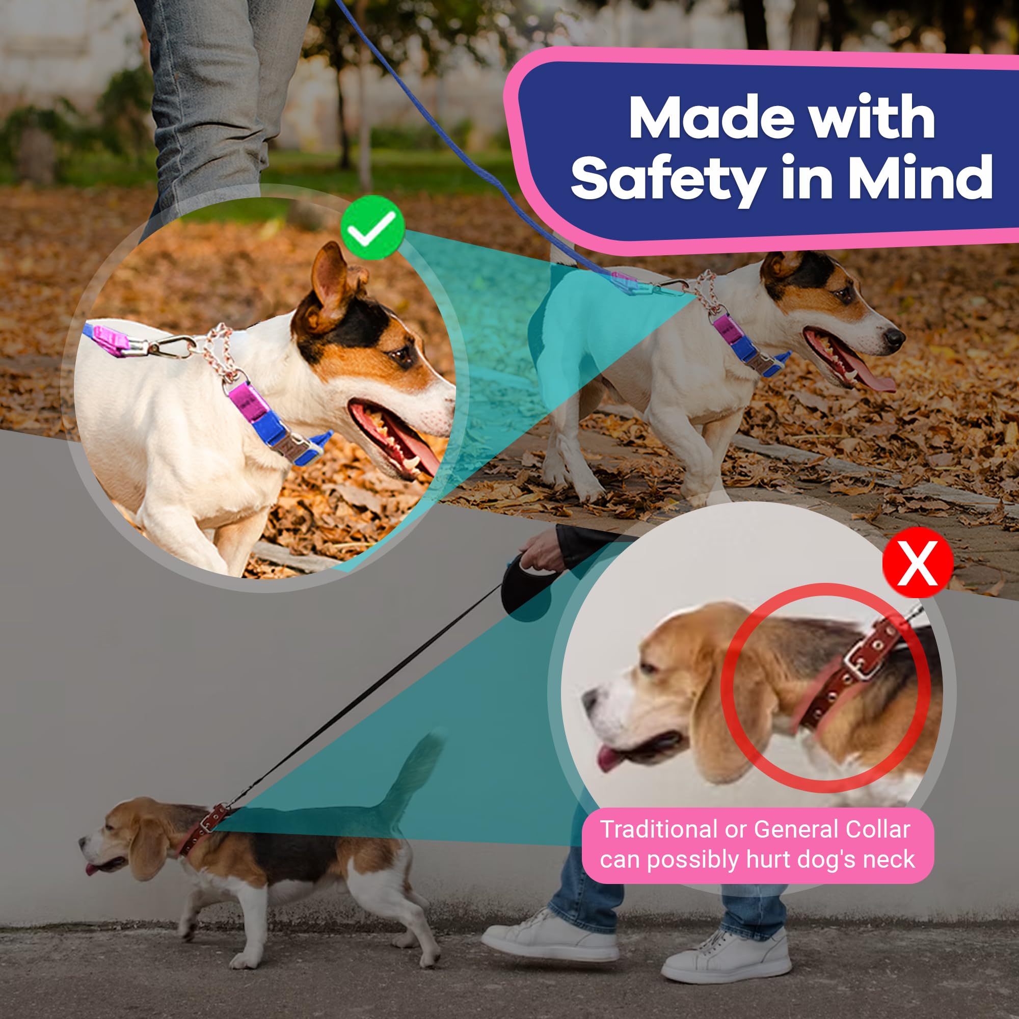 JAX PLANET dog-walking scene with collar during training session