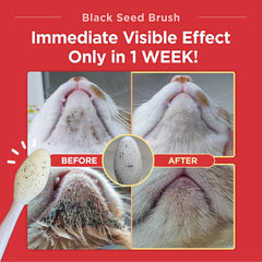 JAYU PET Black Seed Brush ergonomic handle enables steady control during grooming.