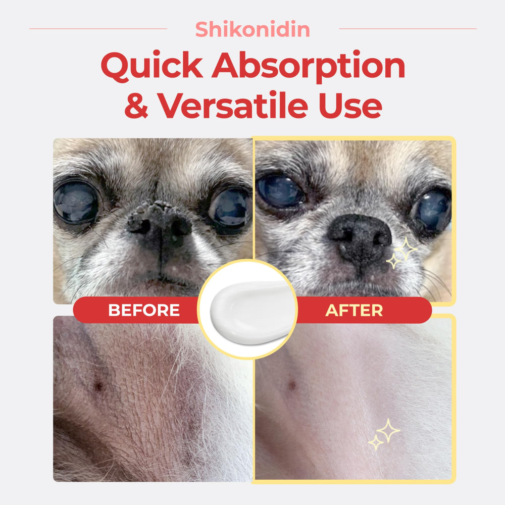JAYU PET Shikonidin cream close-up showing smooth, non-sticky texture for dry pads