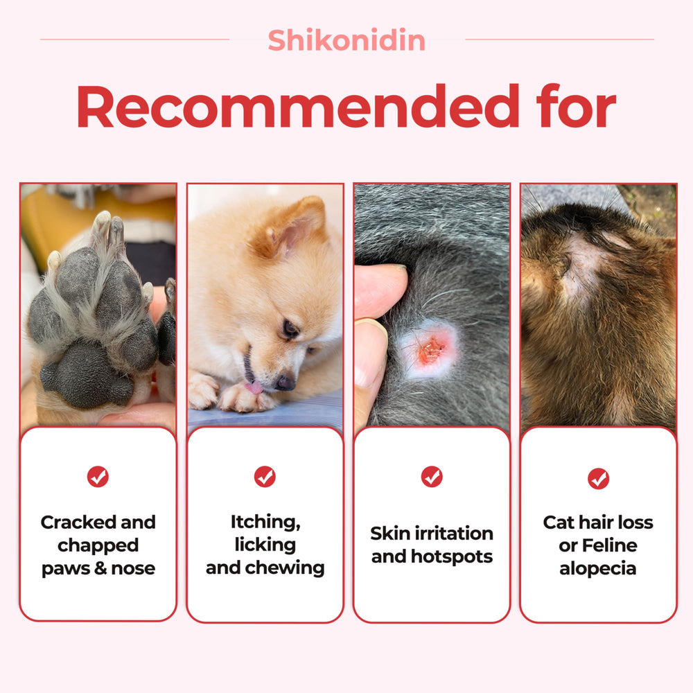Shikonidin hotspots relief on a dog as a soothing skincare option