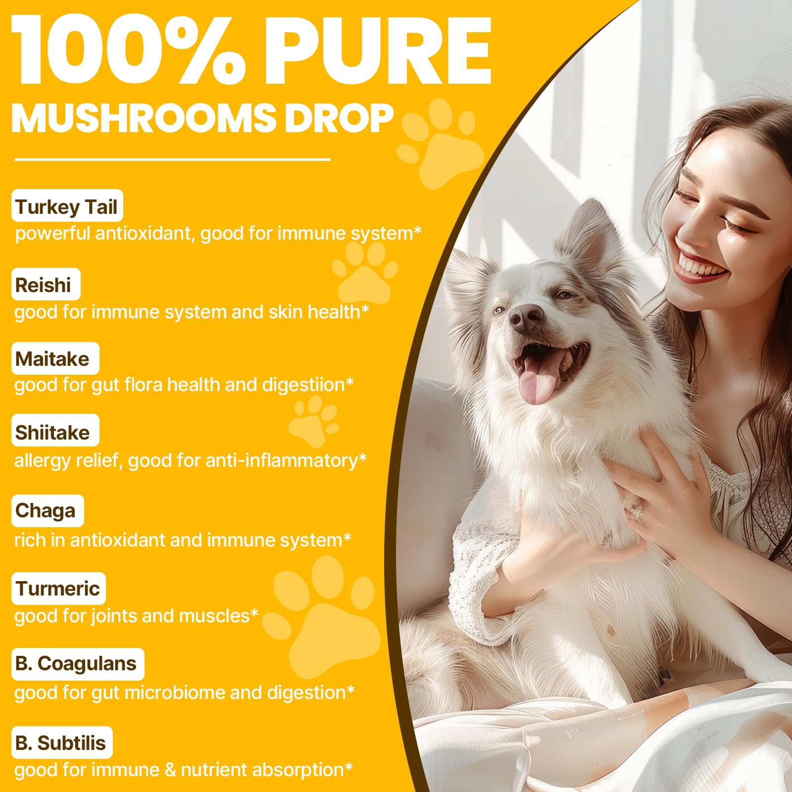 Jazytiko turkey tail dogs chicken-flavored formula aids palatable daily use.