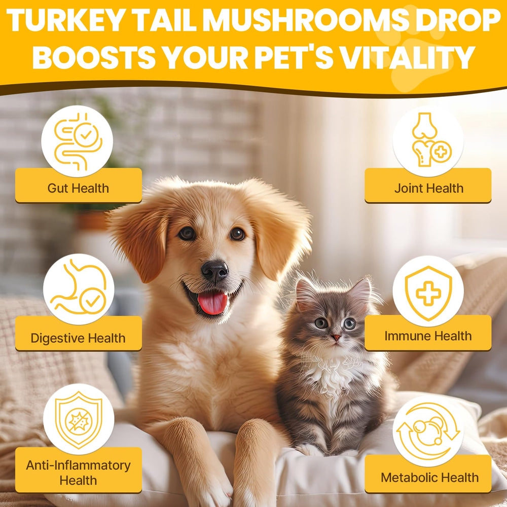 Jazytiko turkey tail for dogs dropper—easy daily dosing for wellness.