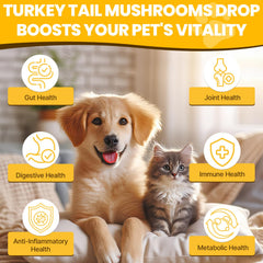 Jazytiko turkey tail for dogs dropper—easy daily dosing for wellness.
