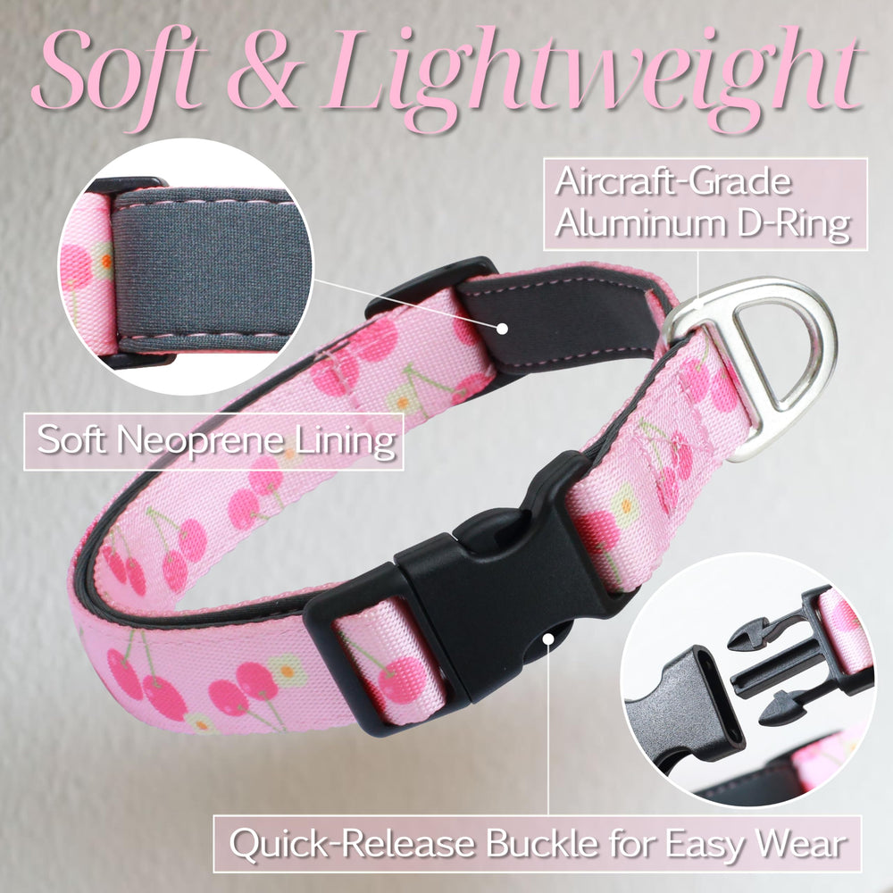 JC HOUSE breathable collar interior highlight neoprene lining for all-day wear.