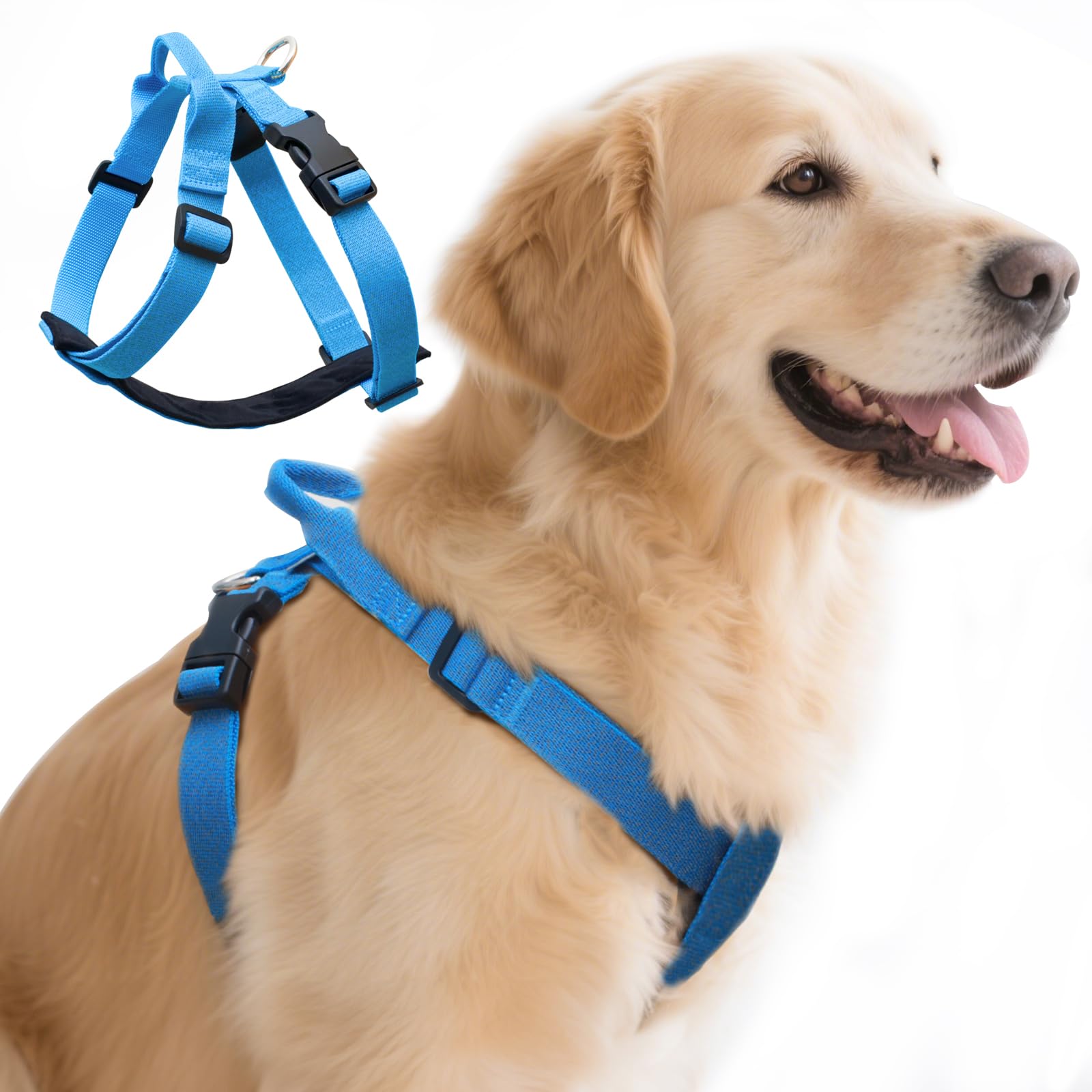 JC HOUSE Galaxy Reflective Harness back-clip for safer night walks