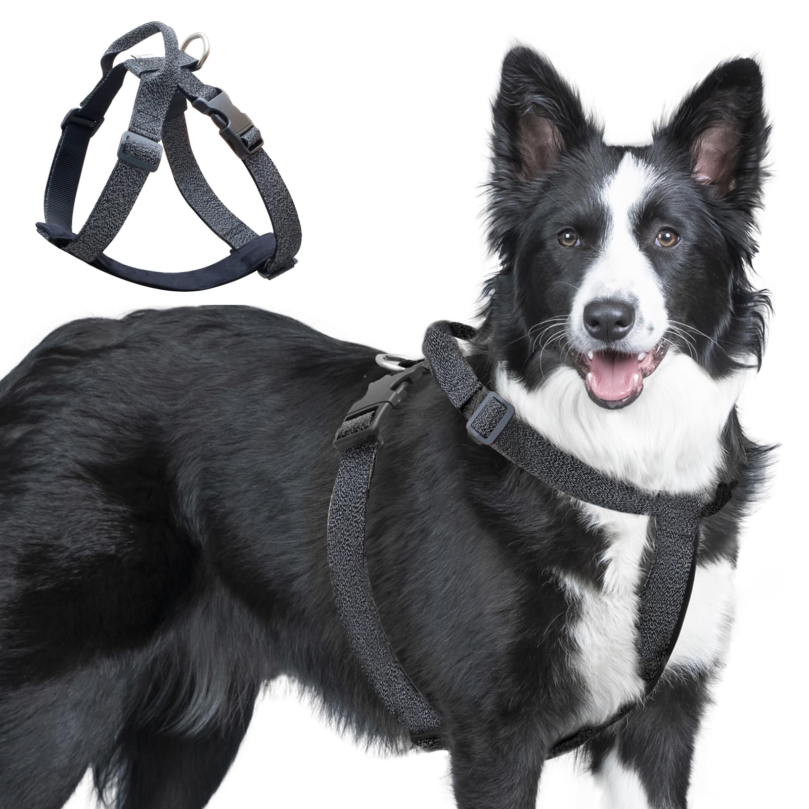 JC HOUSE Galaxy Reflective Harness front view for 360° night visibility during walks.