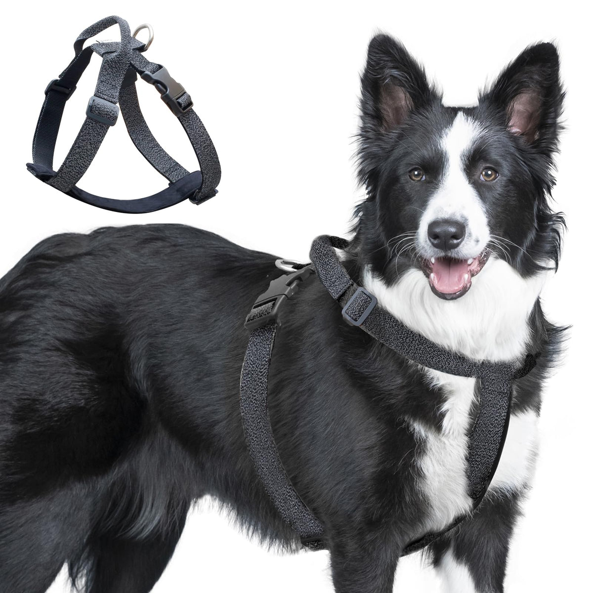 JC HOUSE Galaxy Reflective Harness front view for 360° night visibility during walks.