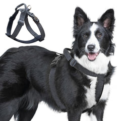 JC HOUSE Galaxy Reflective Harness front view for 360° night visibility during walks.