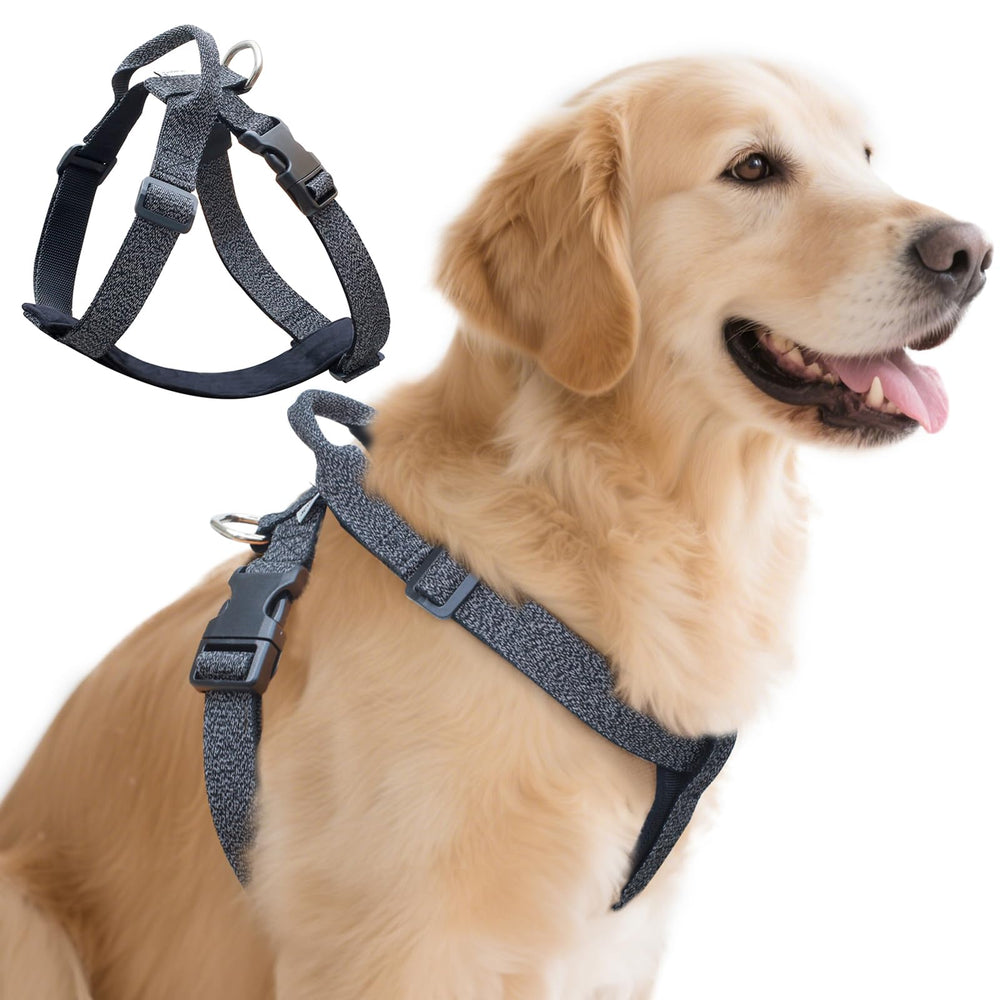 JC HOUSE Galaxy Reflective Harness front view shows 360° visibility for safer night walks.