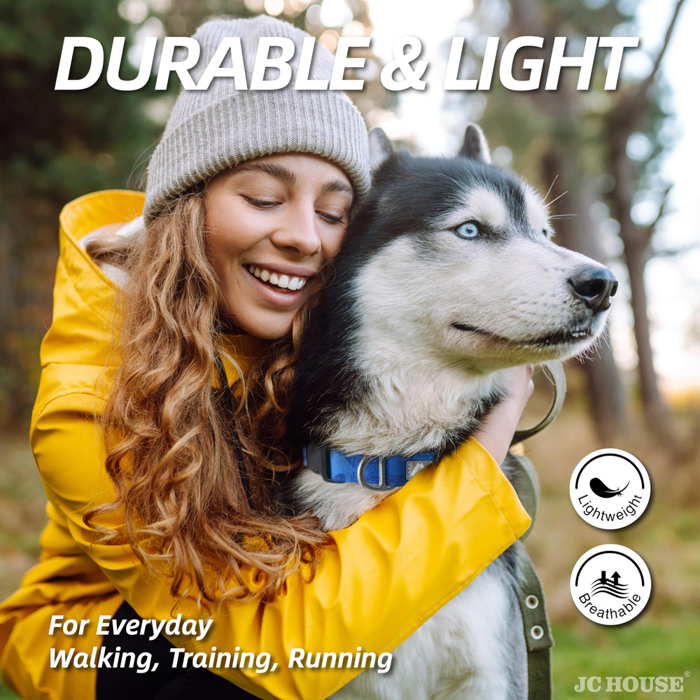 JC HOUSE neoprene-padding collar provides gentle neck comfort during walks
