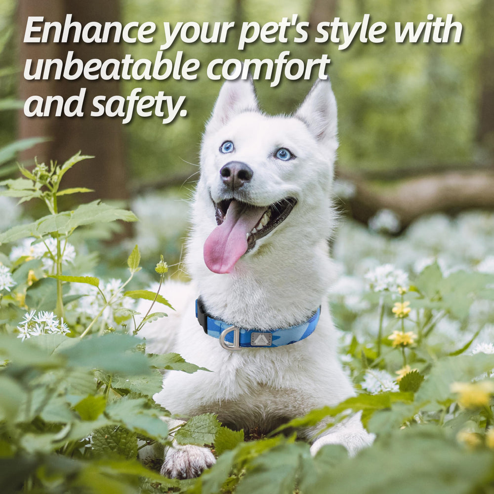 JC HOUSE size-chart guided fit helps pick the right collar for your dog