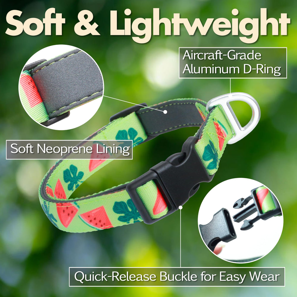 JC HOUSE Watermelon collar front view with 3M reflective logo boosts nighttime visibility.
