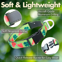 JC HOUSE Watermelon collar front view with 3M reflective logo boosts nighttime visibility.