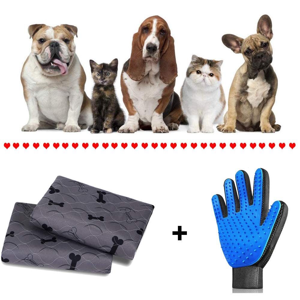 JdPet pads arrive gift-wrapped, ideal for holidays and gifting.
