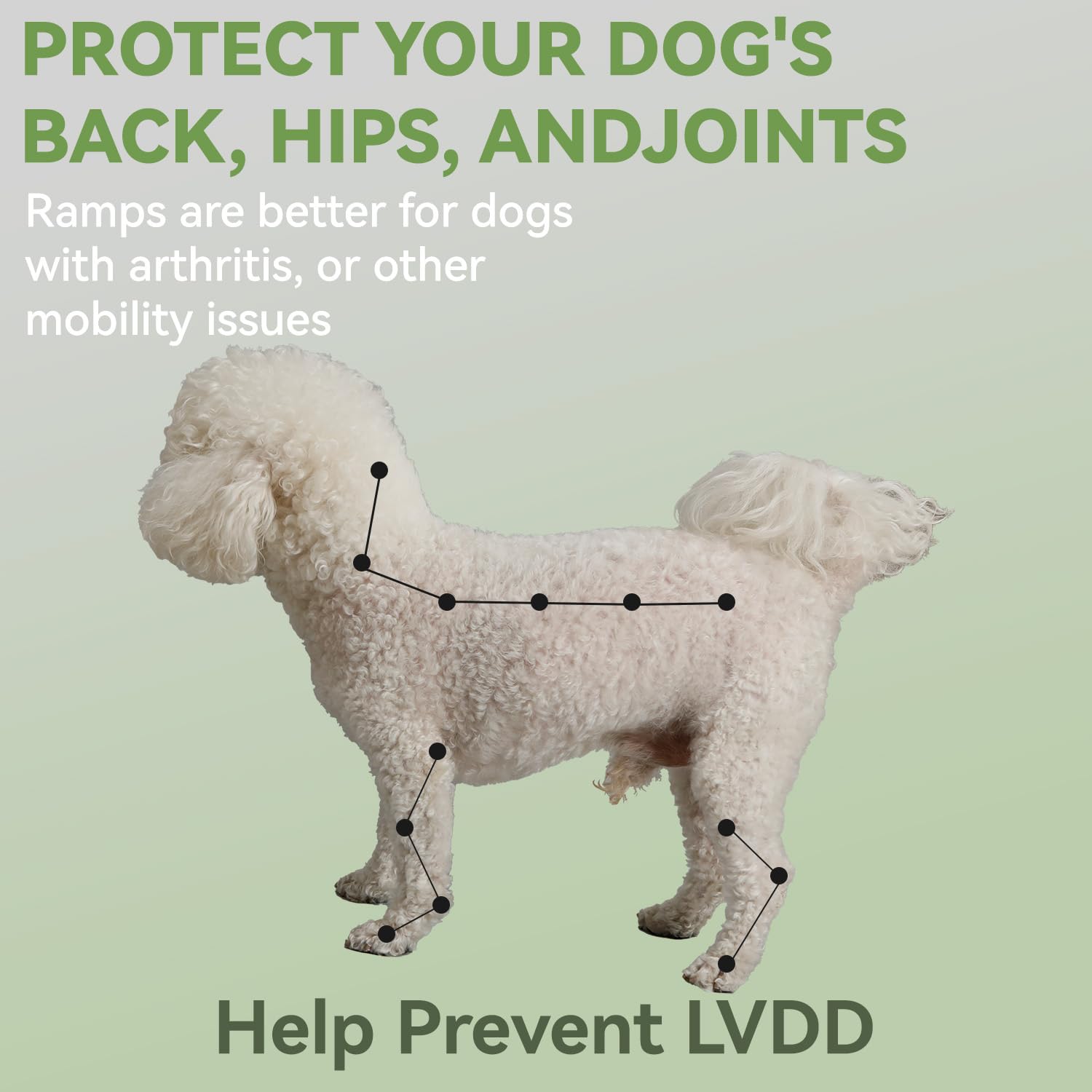 JDYEKYGF couch-access ottoman-dog ramp demonstrates dual-function design for people and pets.