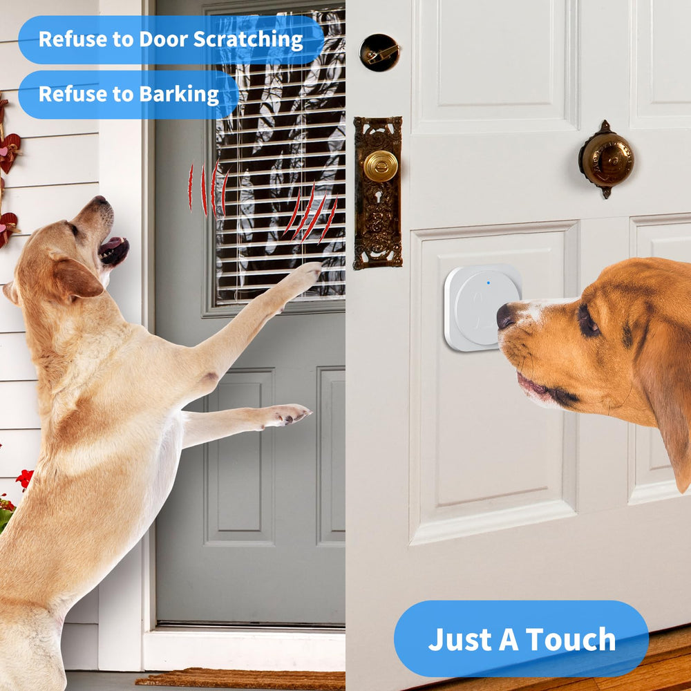 JeaTone dog using the door bell during a training cue.