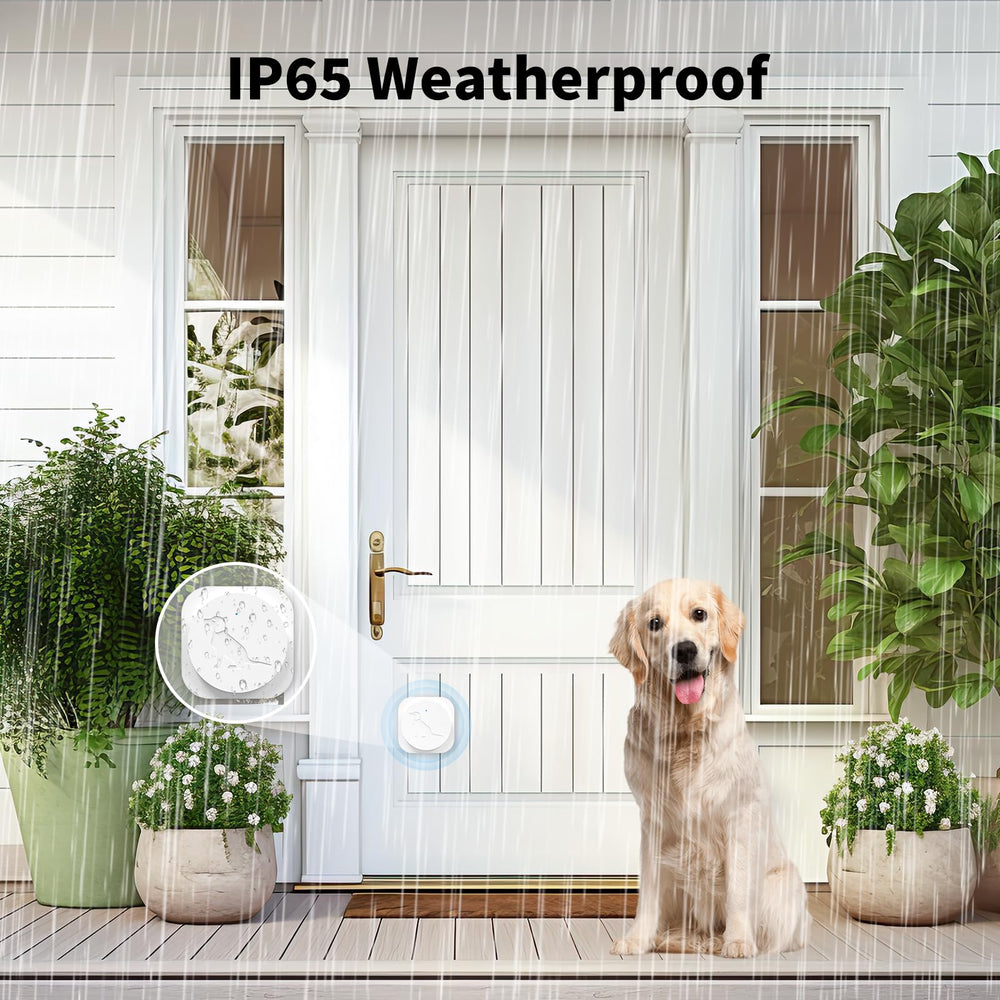 JeaTone IP65 transmitter withstands weather for outdoor use.