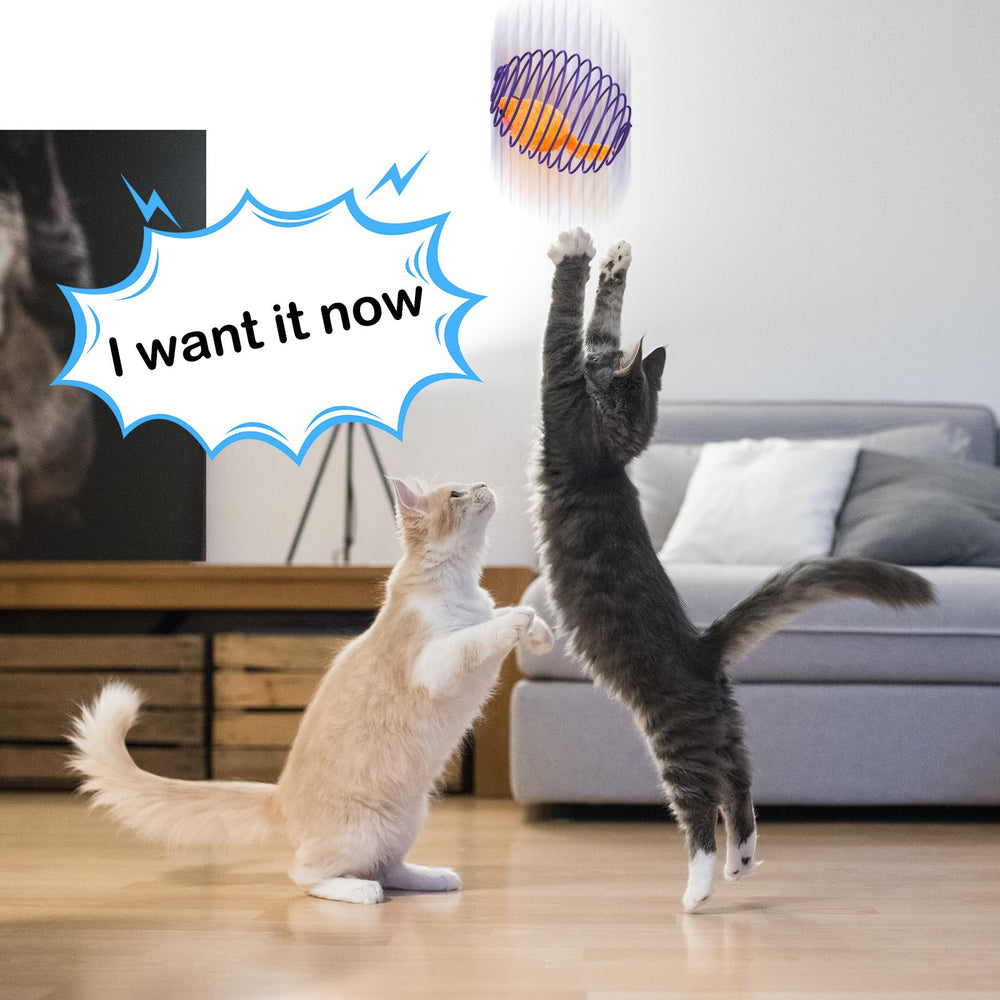 Jecery bolas-resorte-gato-en-movimiento, juego activo que promueve coordinación.