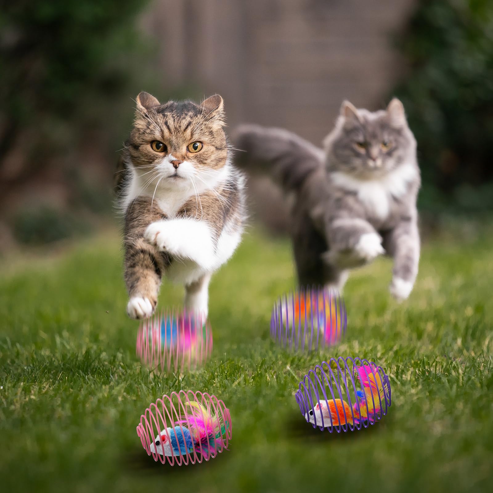 Jecery cat spring ball safe plastics and steel springs support safe, energetic play.