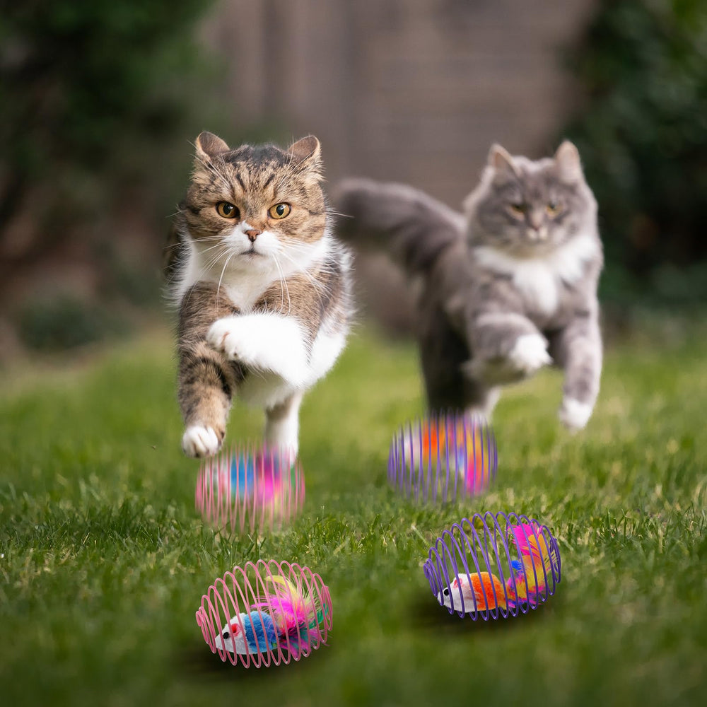 Jecery cat spring ball safe plastics and steel springs support safe, energetic play.
