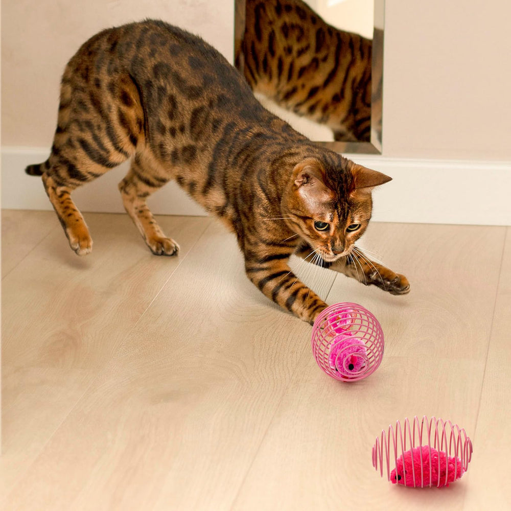 Jecery cat spring ball interactive design invites chasing, sprinting, and paw engagement.