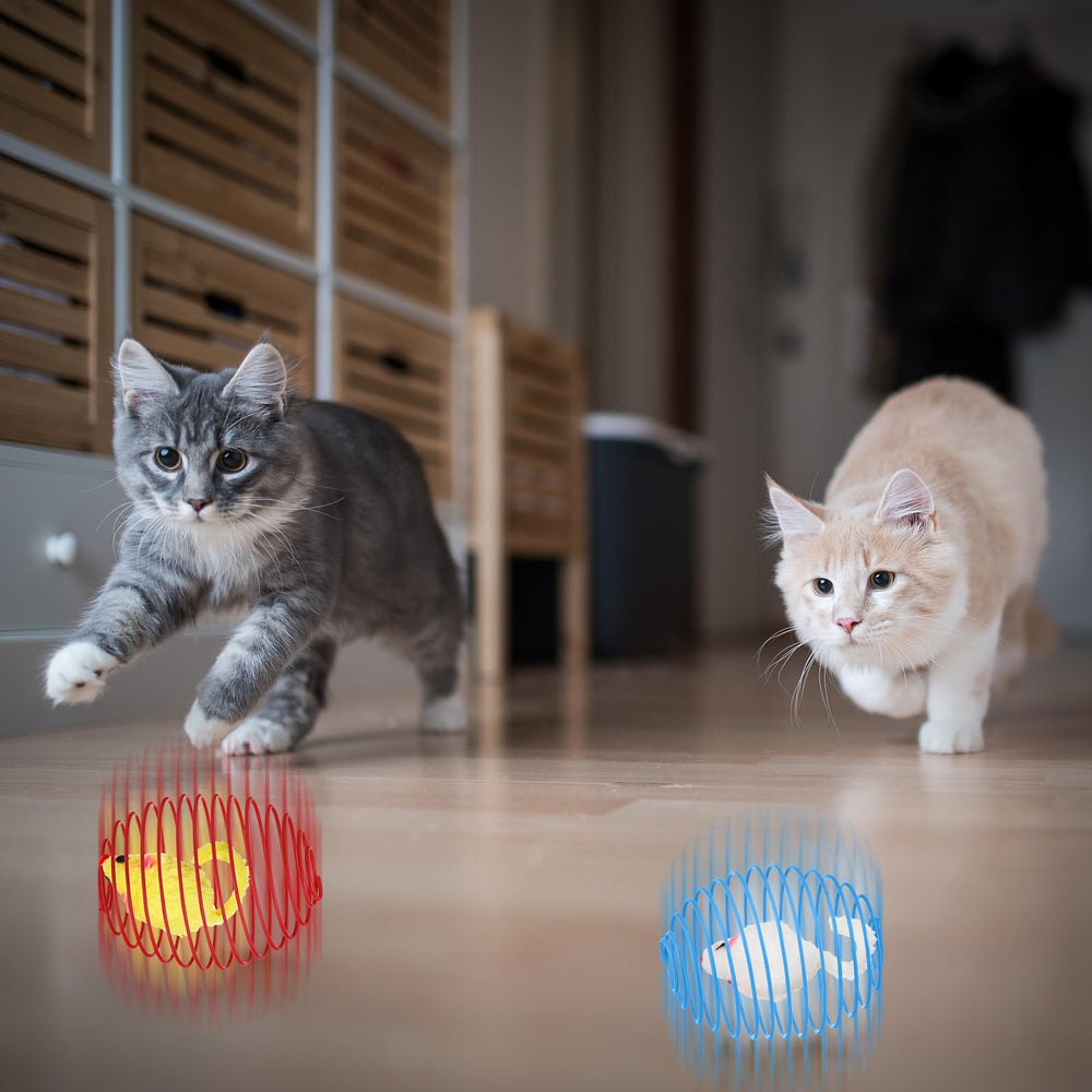 Jecery resorte-gato diseno-llamativo, colores brillantes para despertar curiosidad.