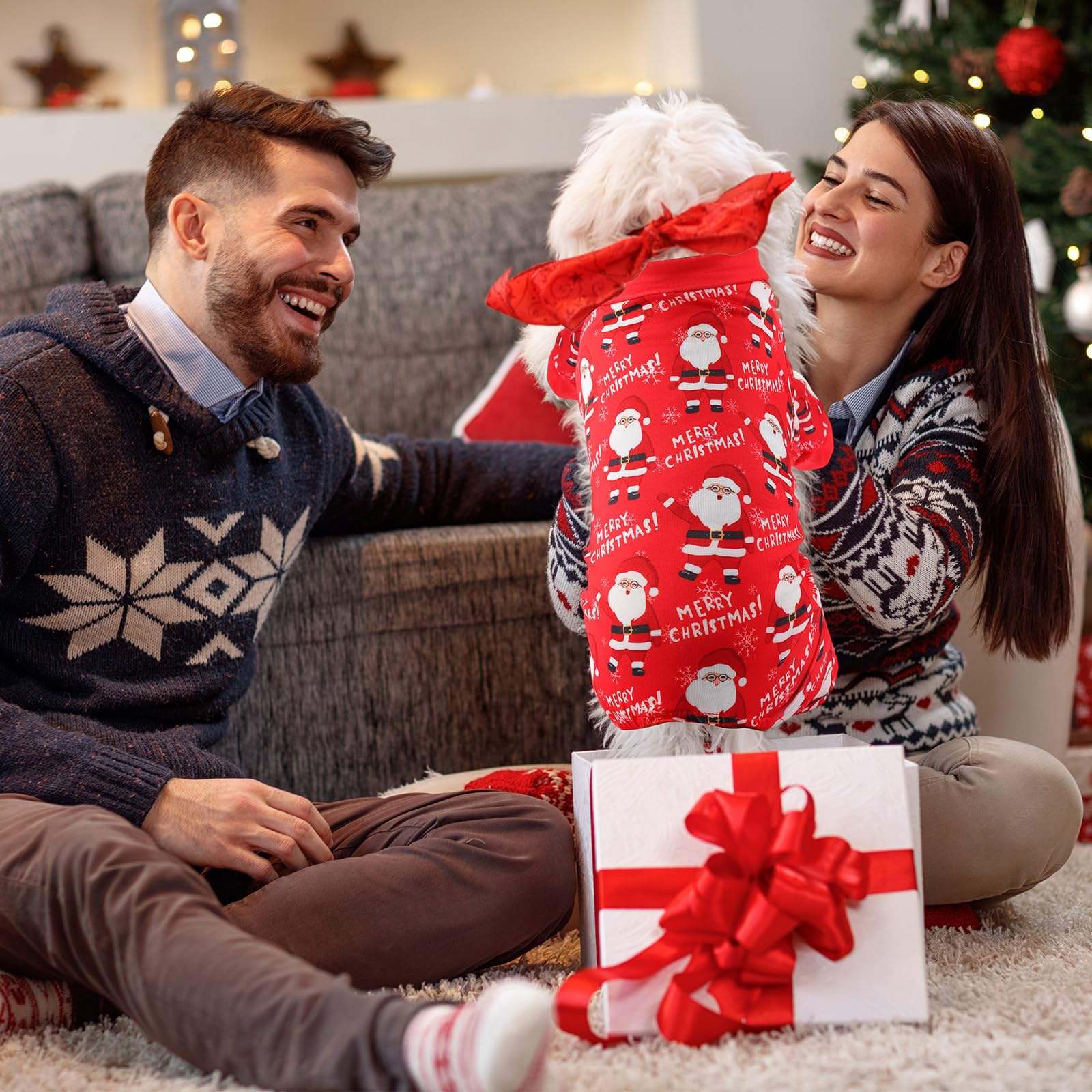 Jeere dog pajamas pattern variety highlights multiple festive styles for daily wear