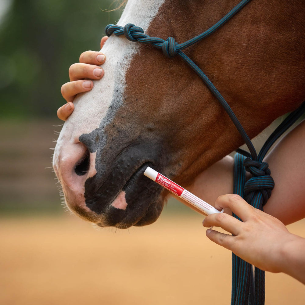 Jeffers approved for barns and farms as a routine care option.