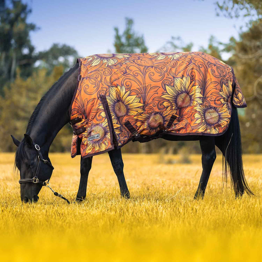 Jeffers Expression 1200D blanket waterproof shell keeps horses dry during winter turnout.