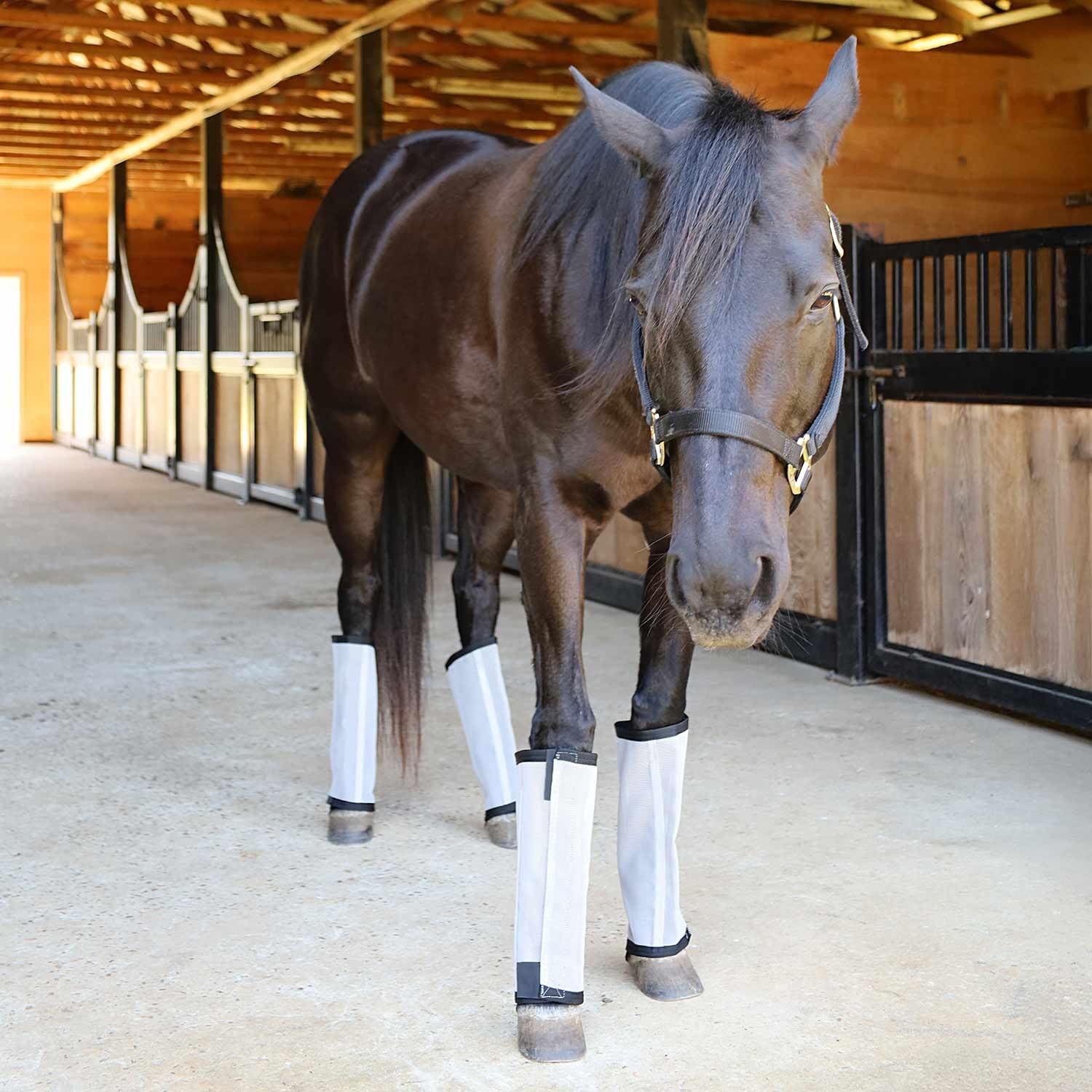 Jeffers Romper Stomper Fly Boots grey breathable-airflow image emphasizes comfort in hot summer turnout