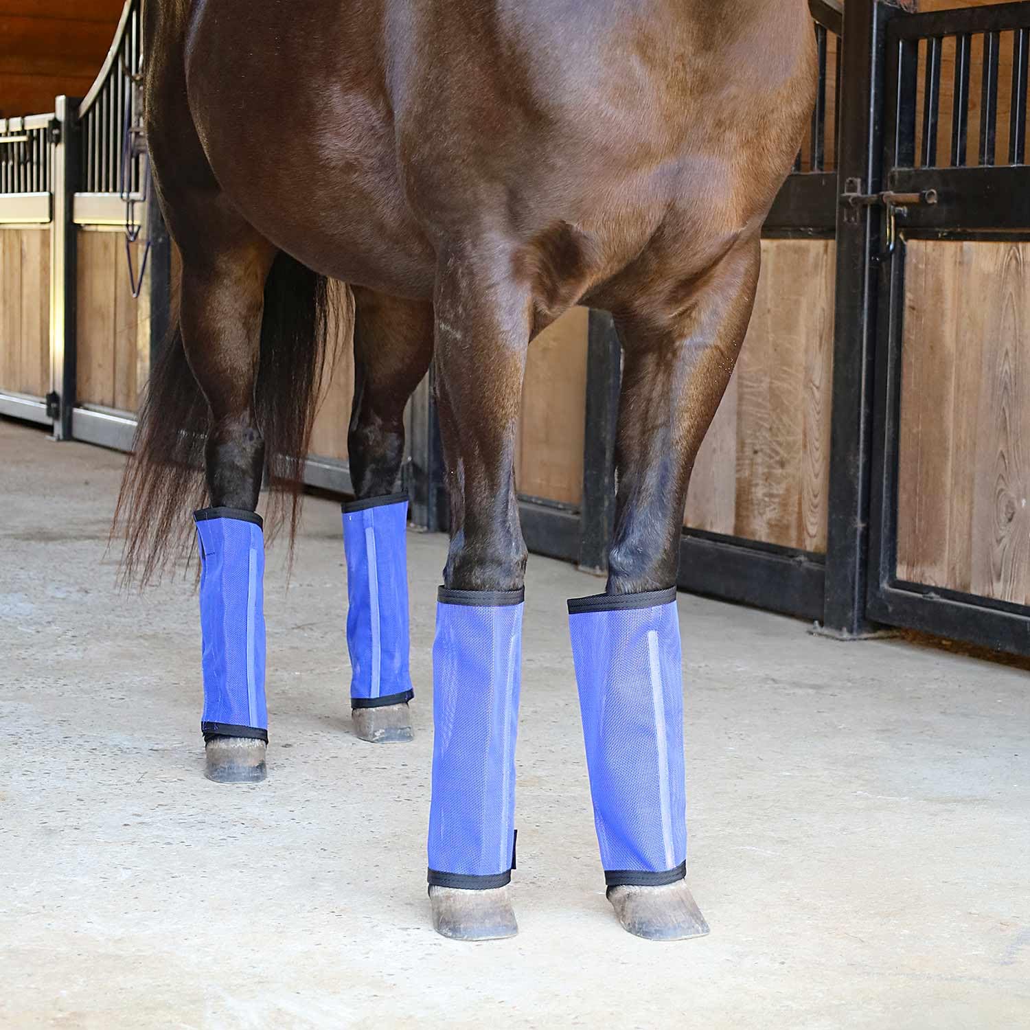 Jeffers Romper Stomper velcro closure demonstrates quick secure setup