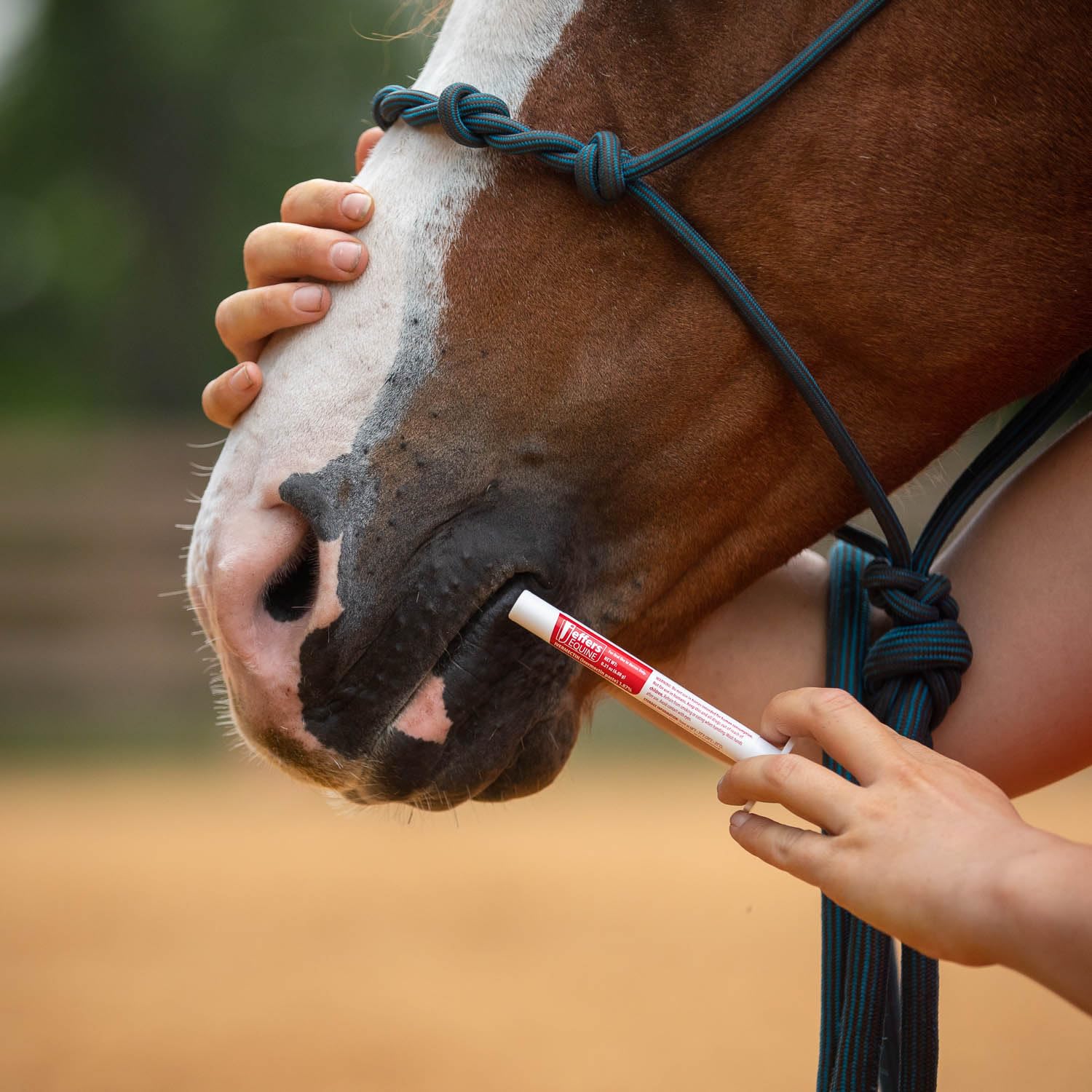 Jeffers smooth gel dosing texture aids quick administration.