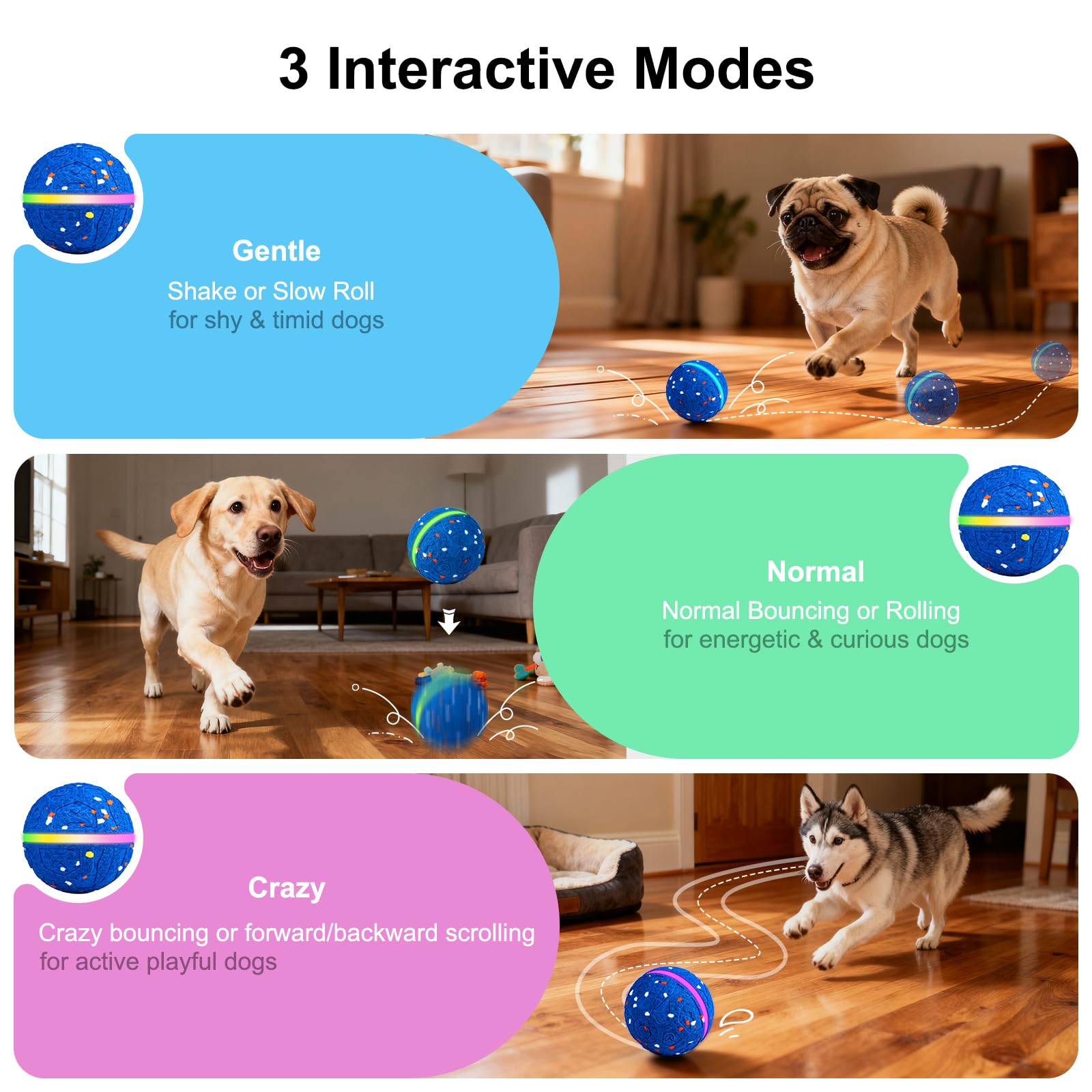 JEISOTHB dog ball blue in use bouncing and lighting for active play