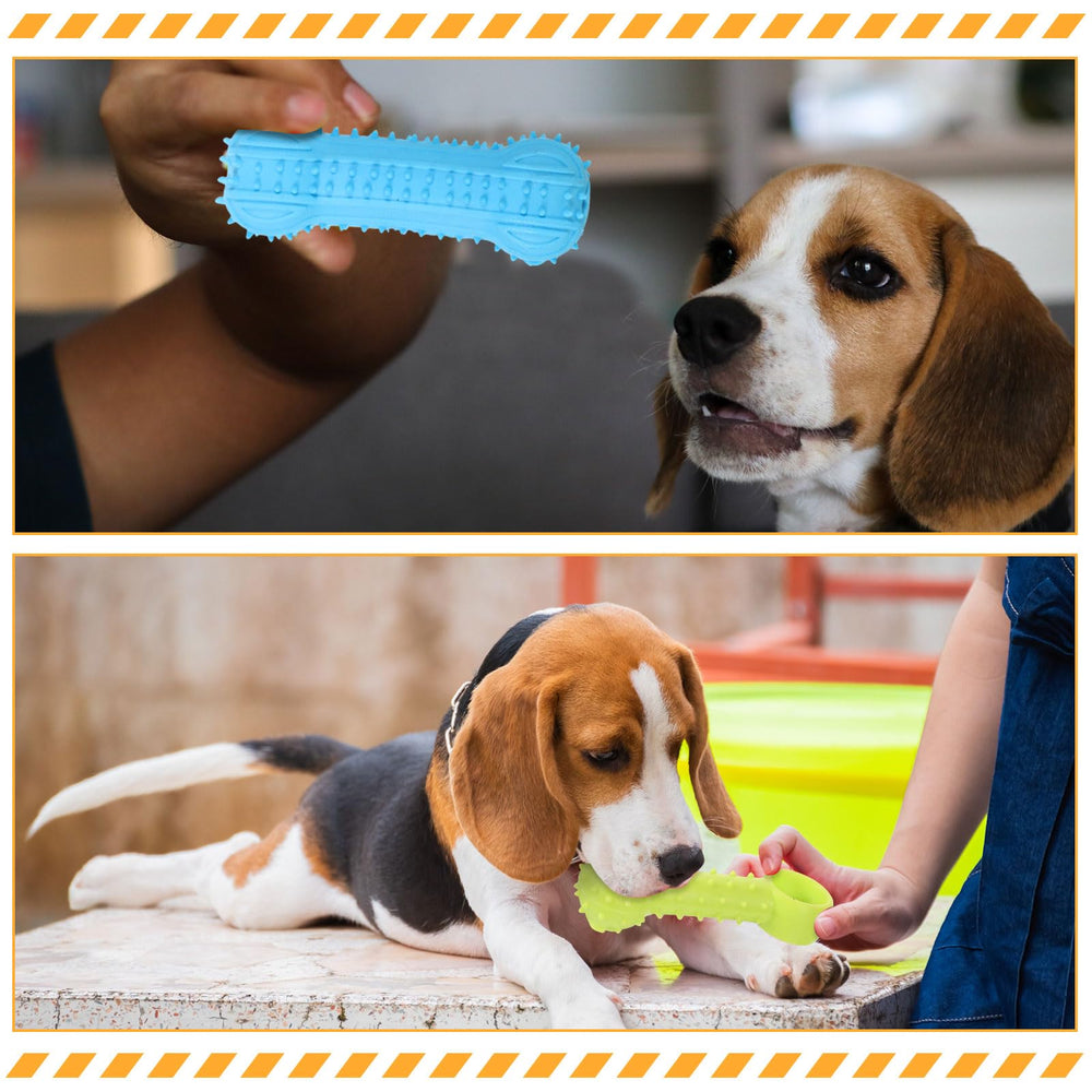 Jenaai outdoor training toy is ideal for small dogs during fetch.