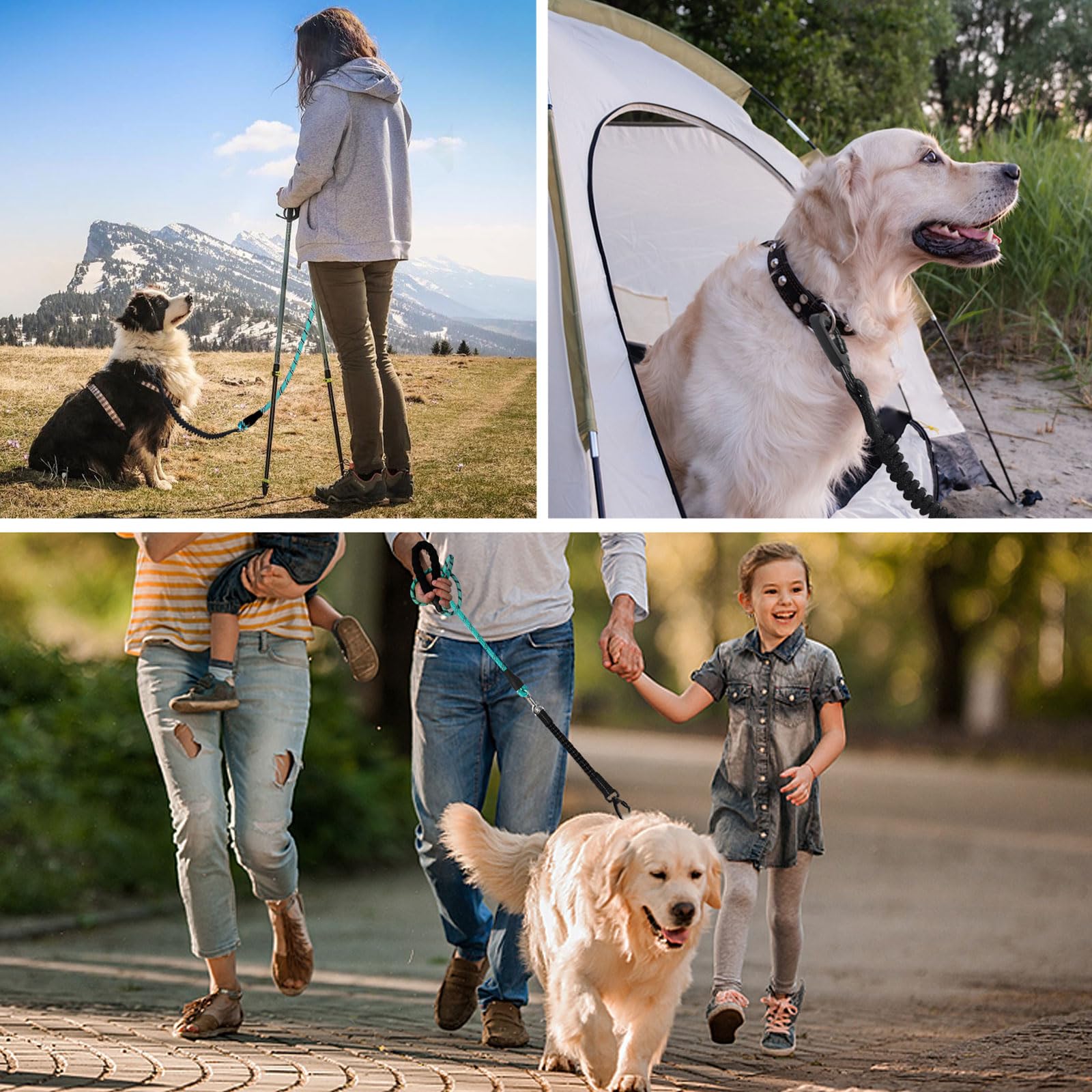 Jenico dog leash ideal for walking, hiking, training and outdoor adventures.