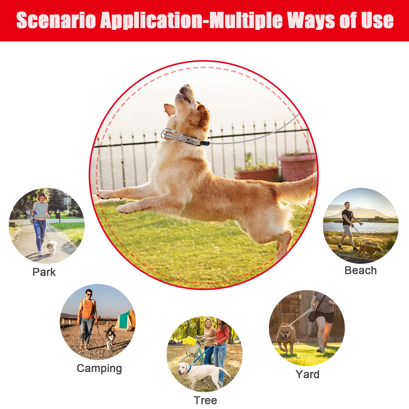 Jenico dog tie out cable available in up to 150ft length for ample roaming.