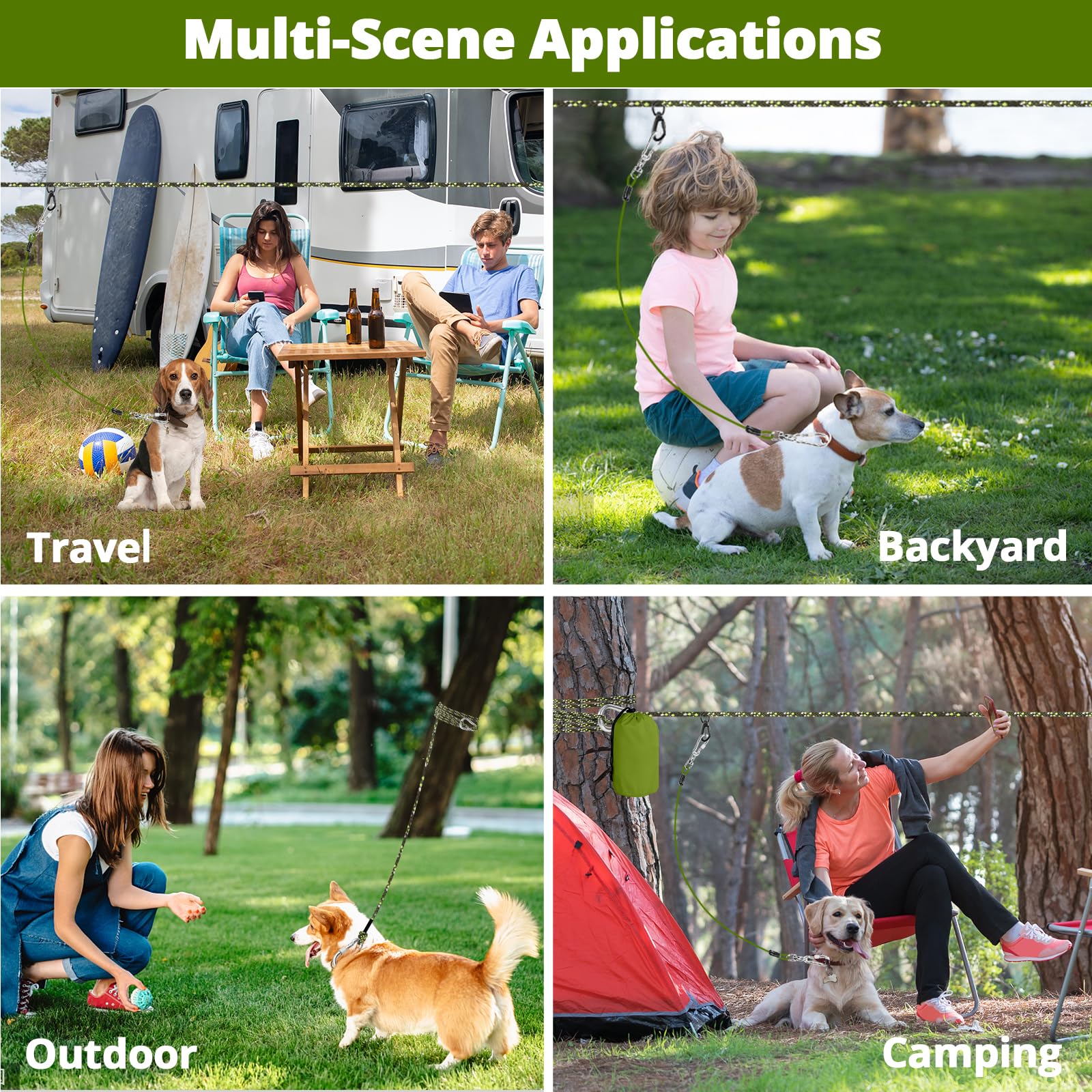 Jenico dog tie-out in yard or park supports safe exercise.