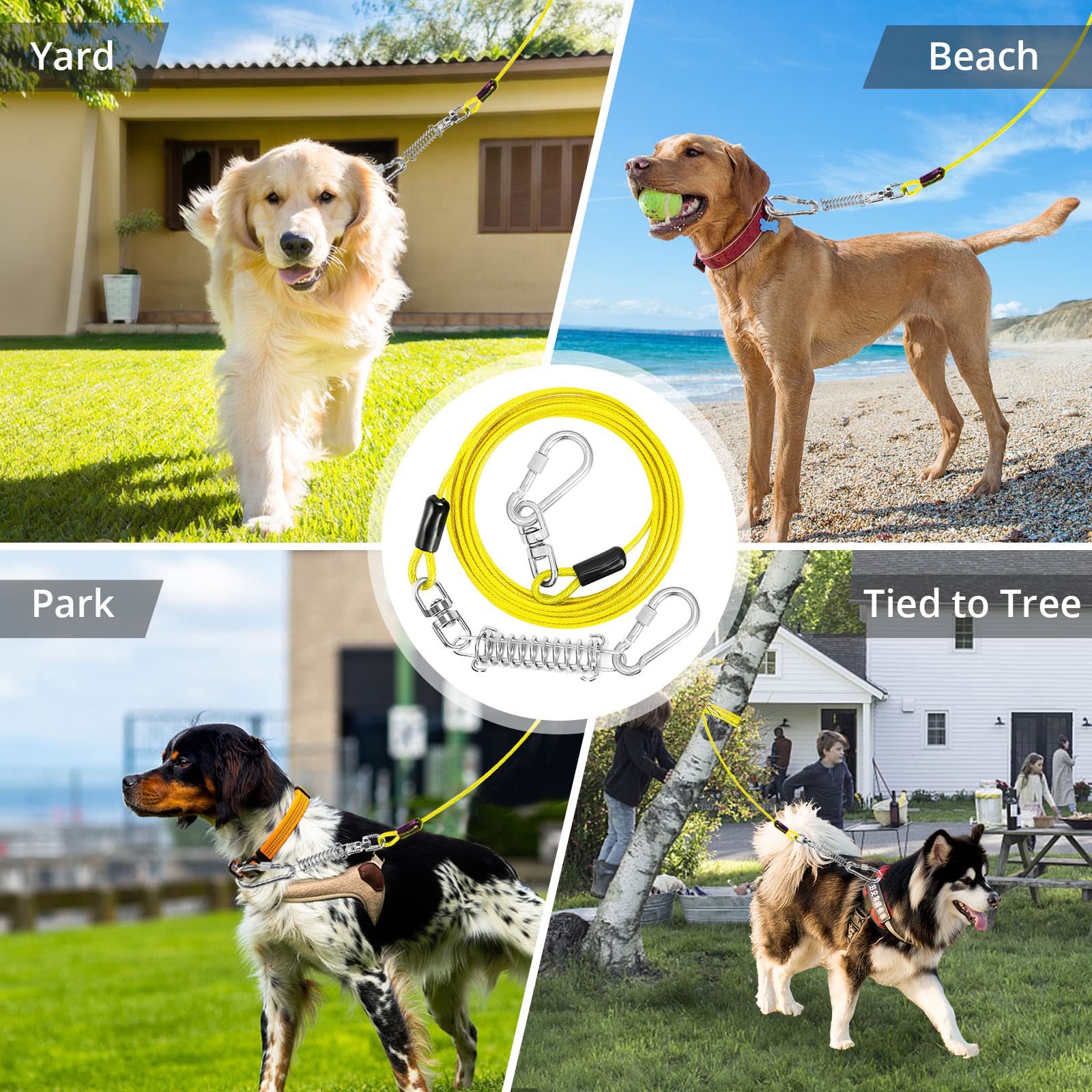 Jenico dog tie-out yard-use demonstrates secure boundary in garden or camp.