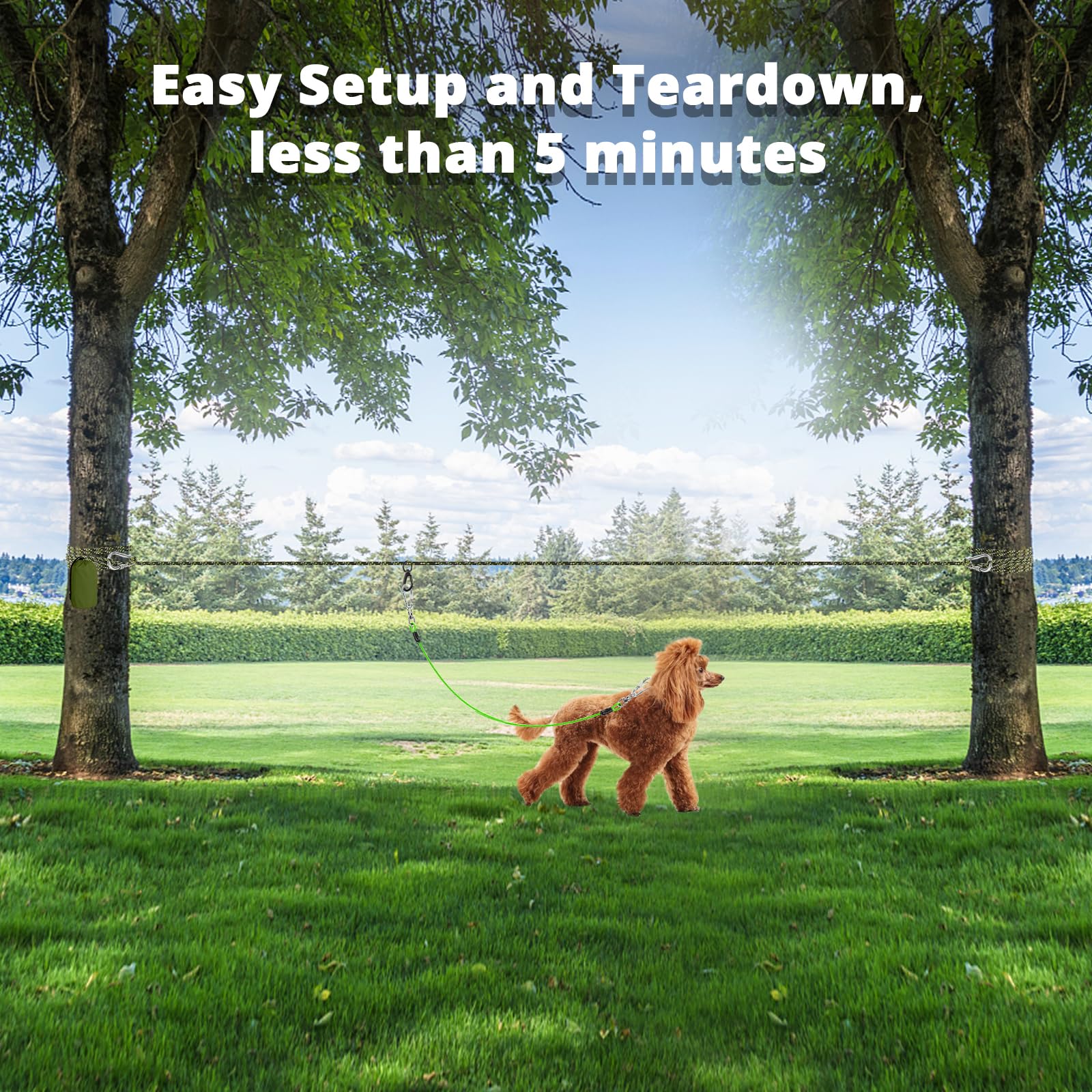 Jenico dog trolley system setup showing quick one-person installation.