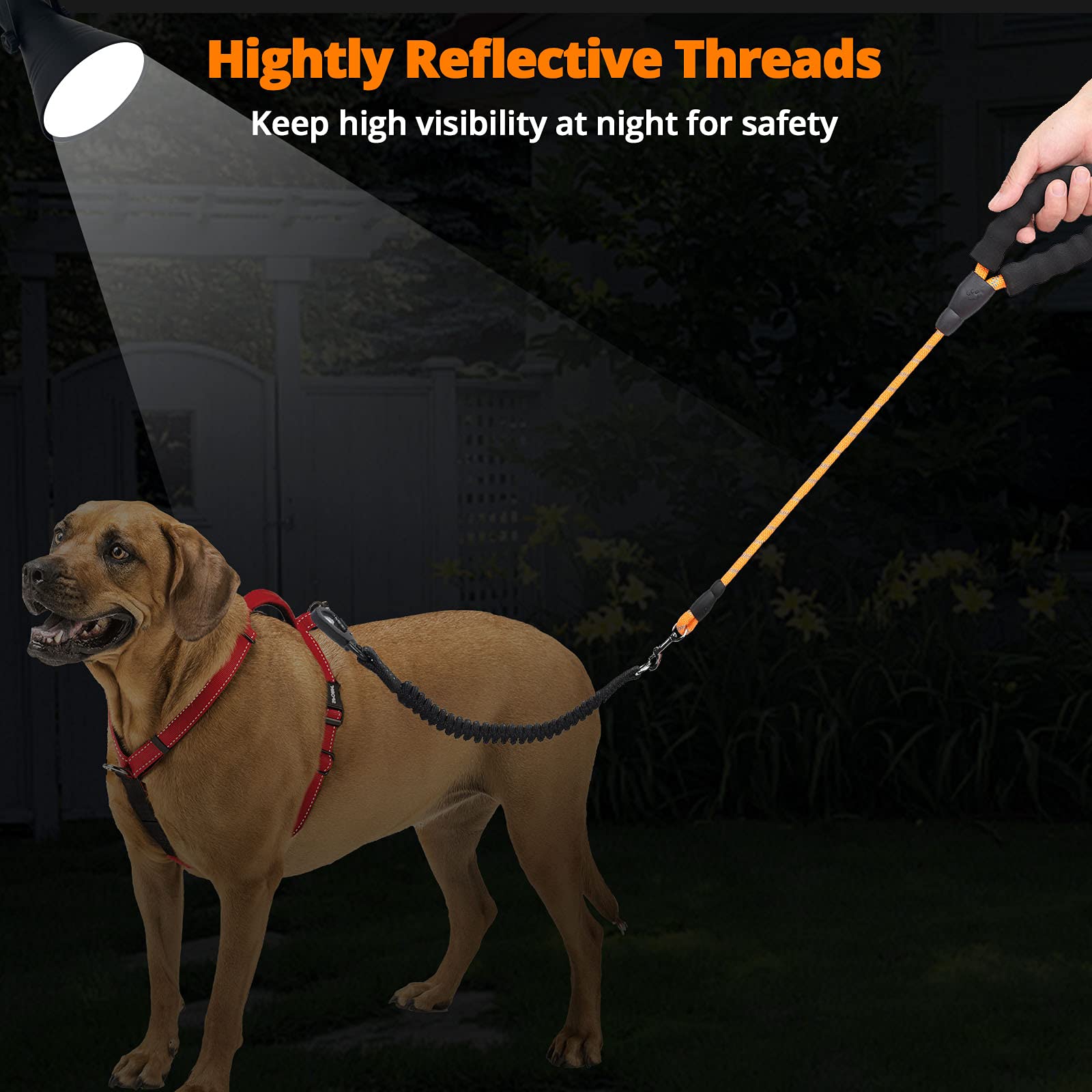 Jenico Long Dog Leash 100ft dog-training-use suits large and medium dogs.