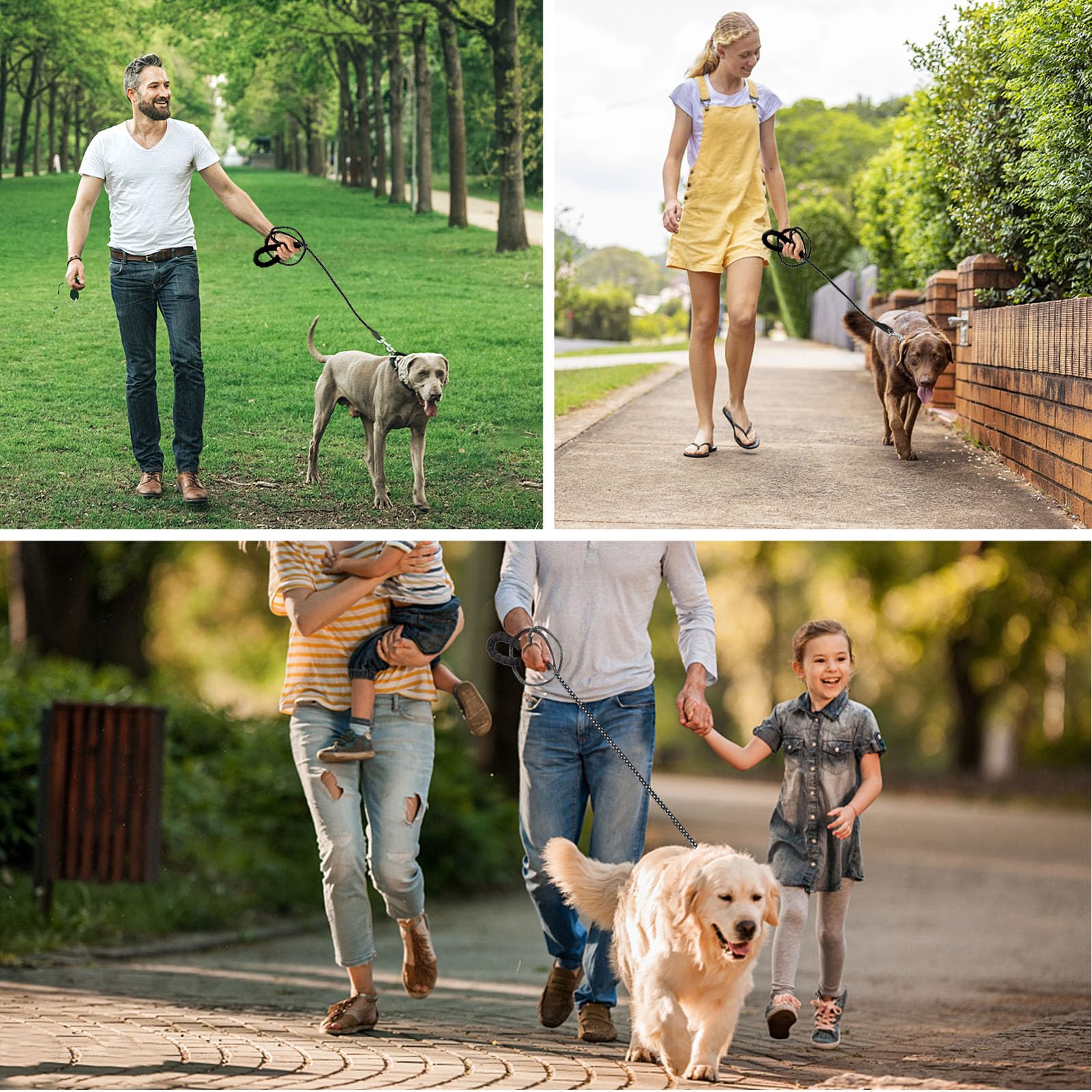 jenico Long Dog Leash is ideal for training and outdoor adventures.