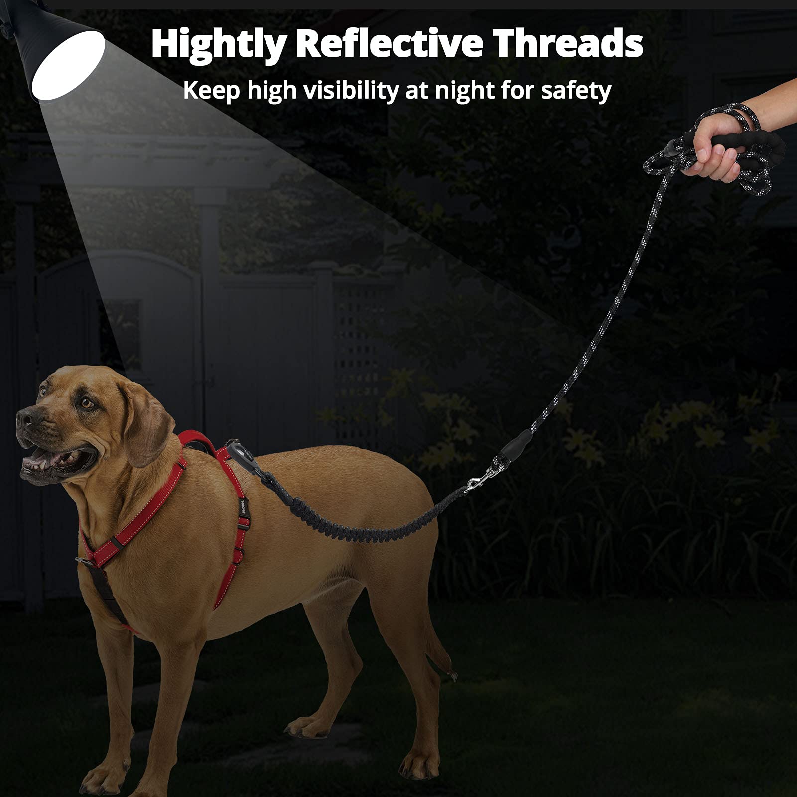Jenico leash with reflective threads boosts visibility on night walks.