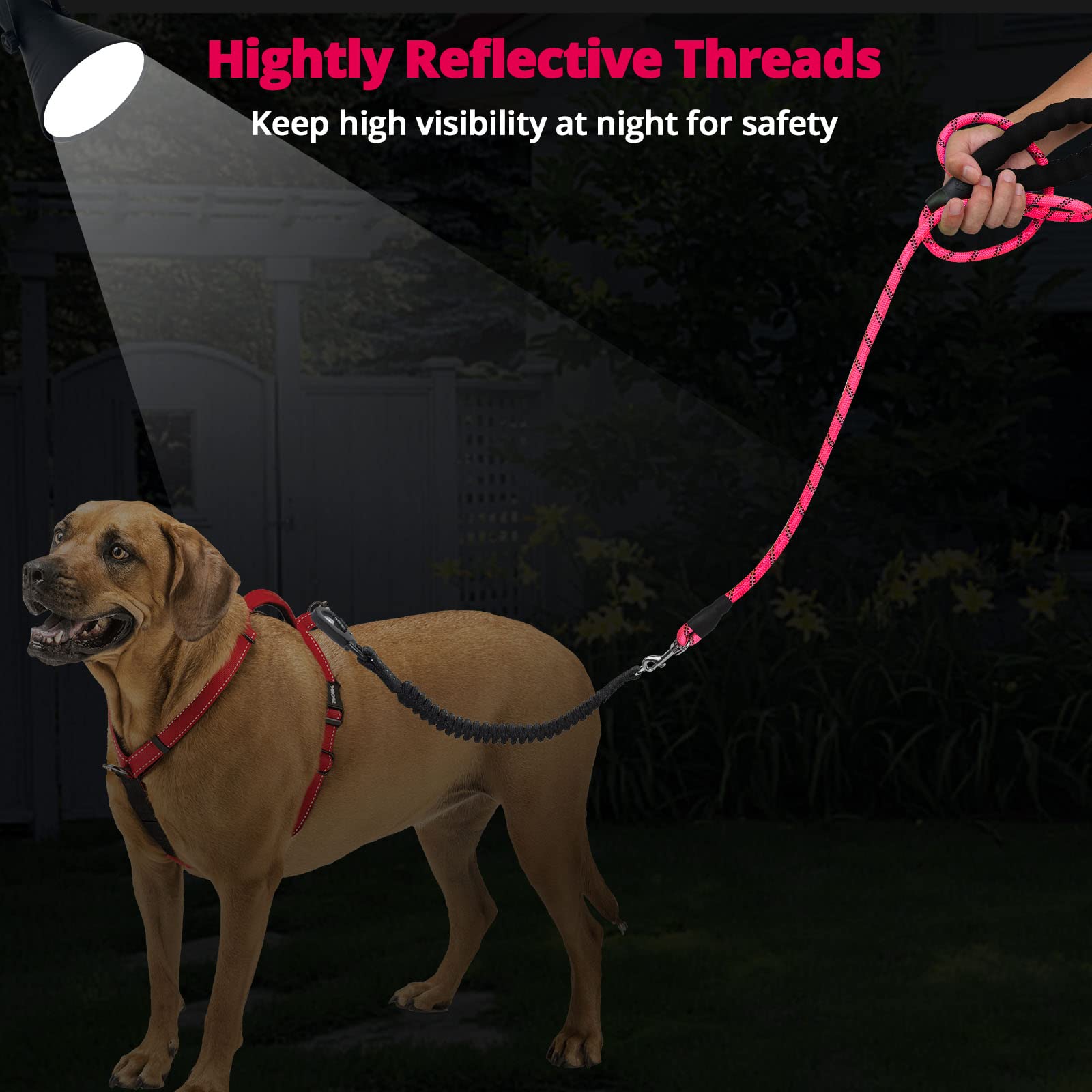 Jenico Long Dog Leash 30ft pink suitable for training and outdoor adventures across sizes.