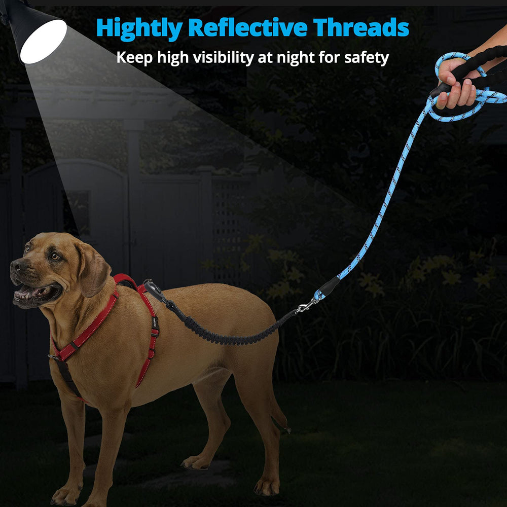 Jenico Long Dog Leash blue color complements outdoor gear.