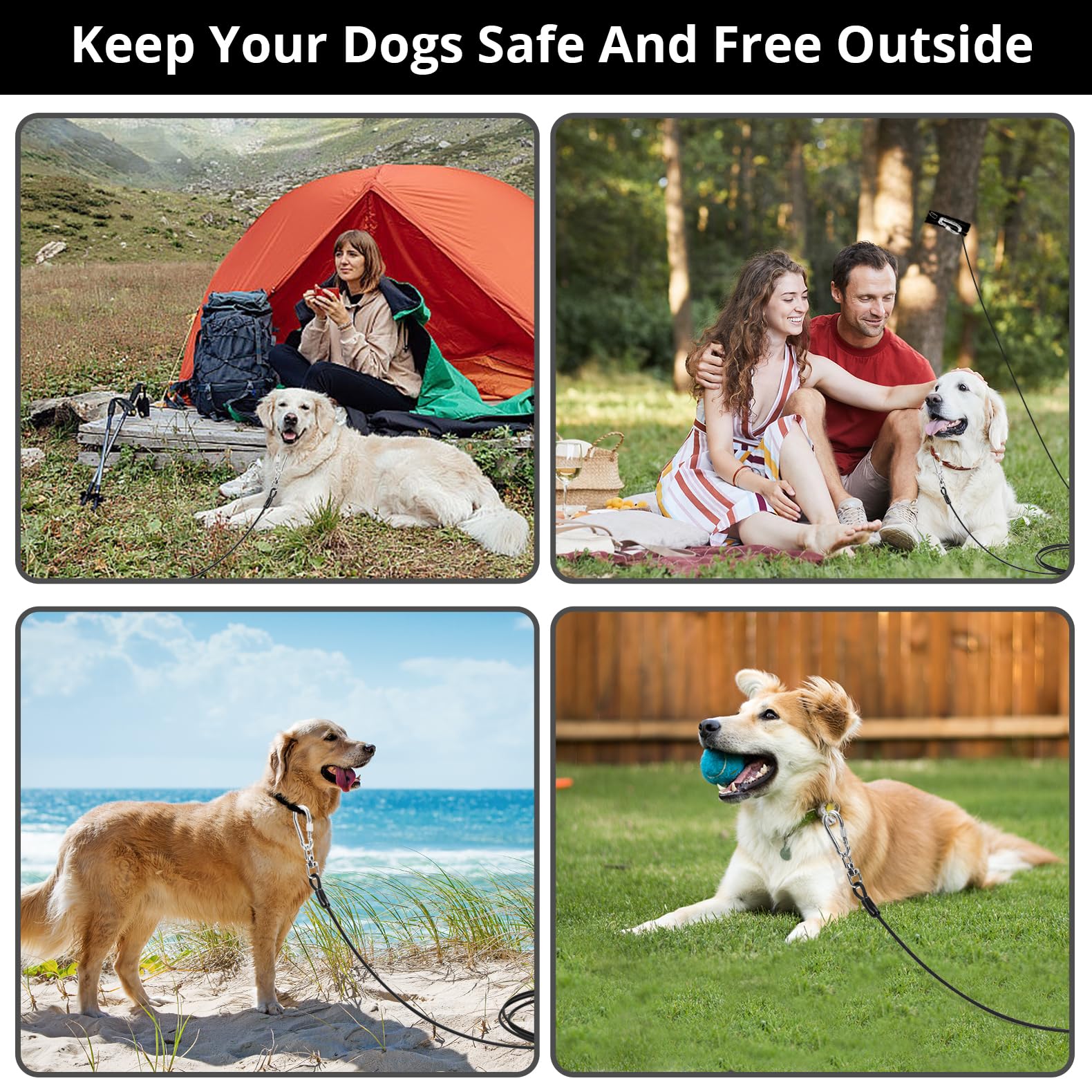 Jenico yard outdoor dog leash use keeps pets safe and supervised.