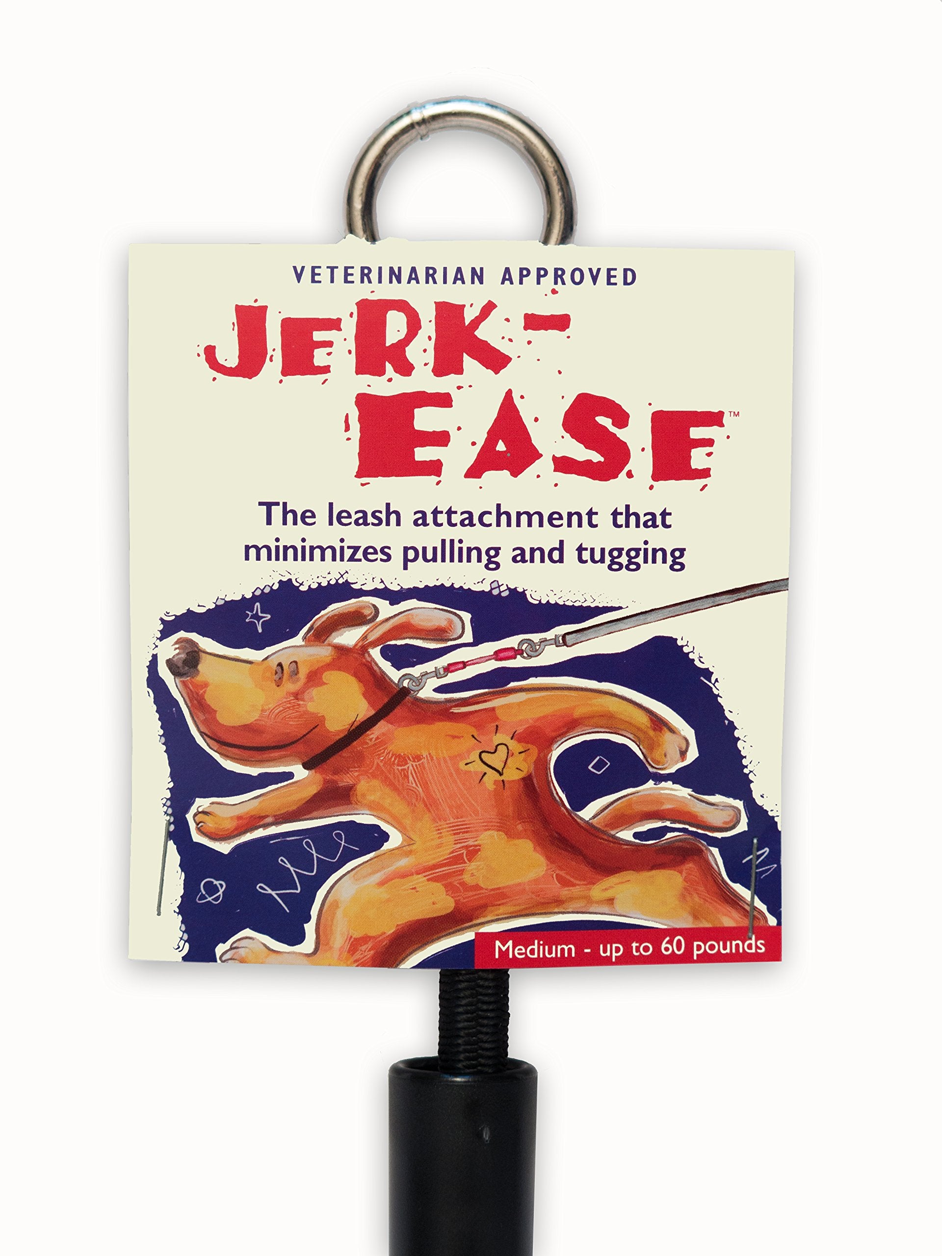 JERK-EASE Bungee attached to a dog harness demonstrates controlled movement during fast runs.